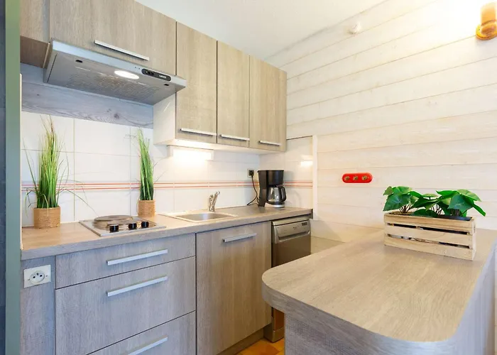 Calme Proche Centre Saint-lary Avec Parking Et Navette Gratuite - Fr-1-296-509 Saint-Lary-Soulan